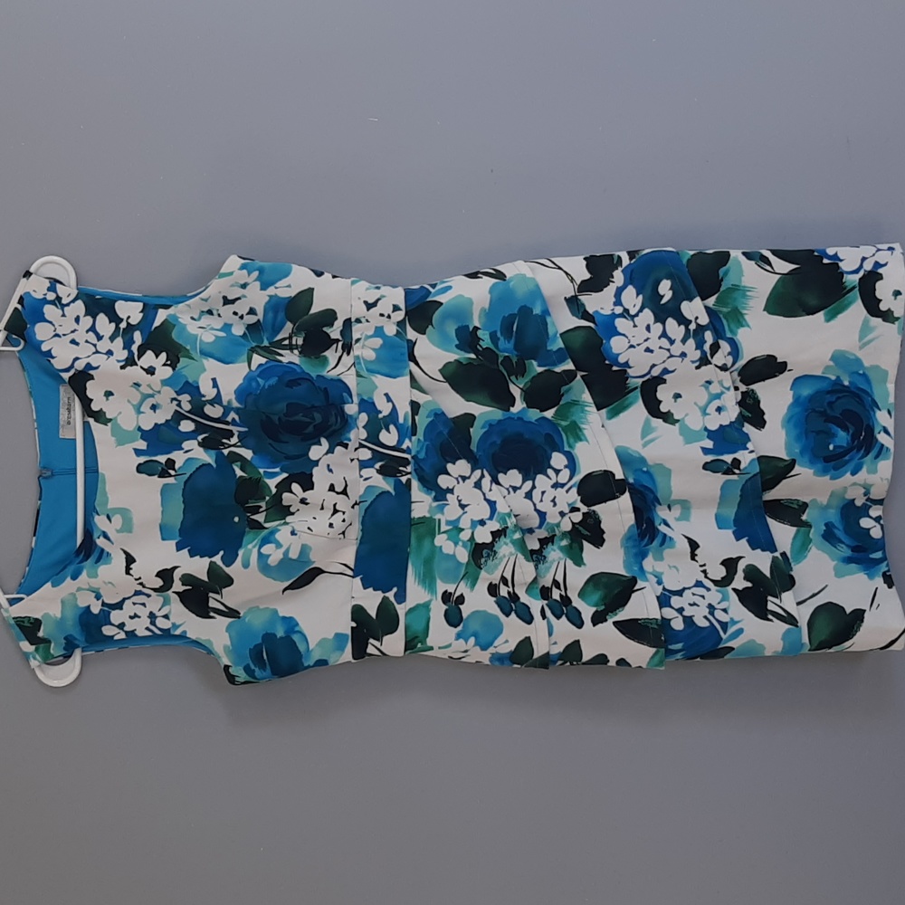 Dress Barn Dress ~ Size 10P